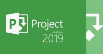 Gestão Profissional com MS Project Ativado