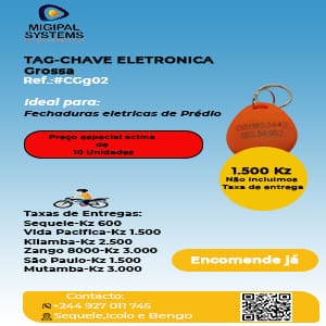 Tag-Chave Eletronica Grossa