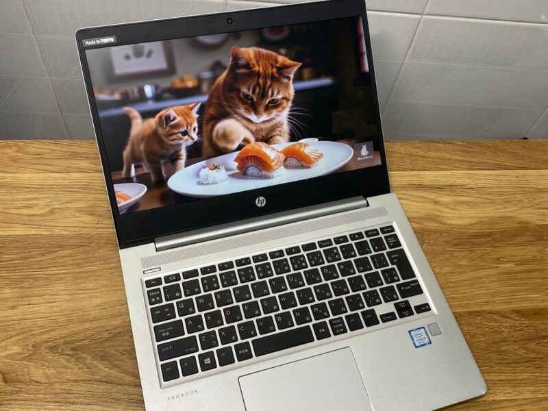 Hp PROBOOK