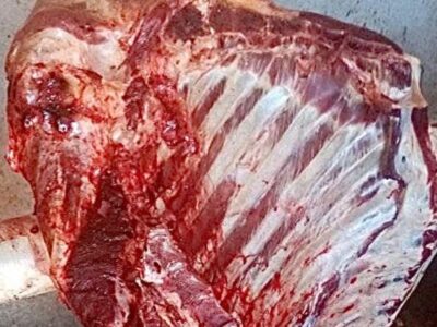 carne de qualidade a preços para todos os bolsos