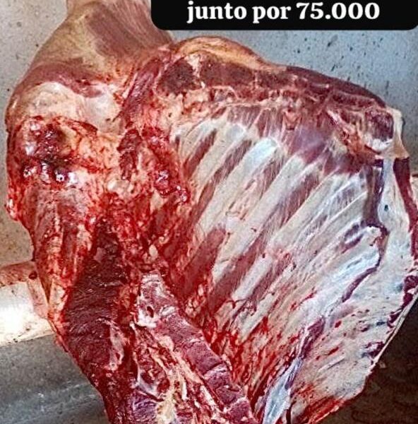 carne de qualidade a preços para todos os bolsos