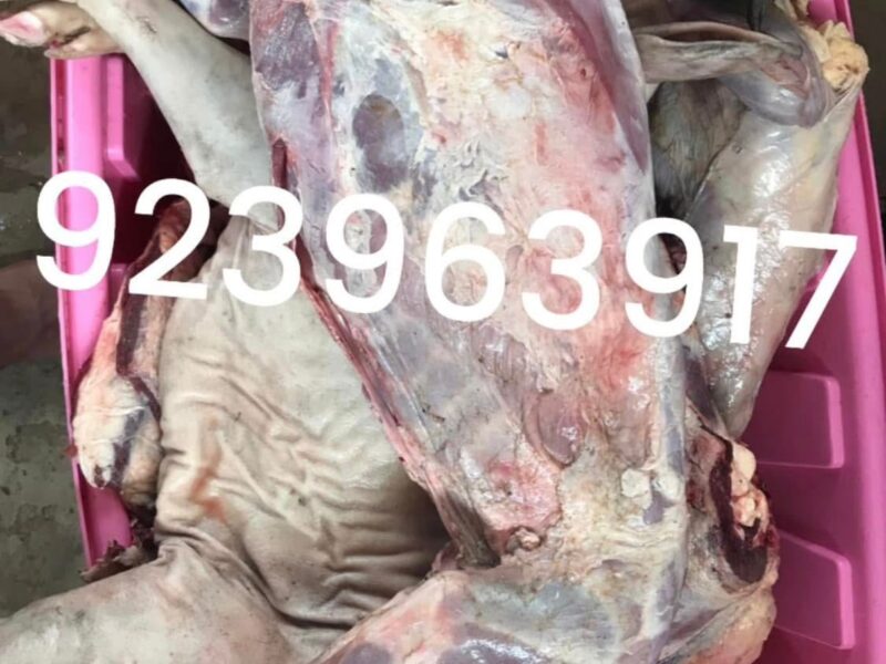 carne de qualidade a preços para todos os bolsos