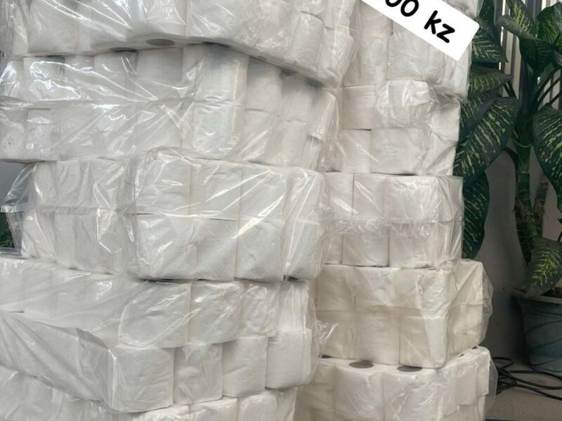 SACOS DE PAPEL HIGIÊNICO