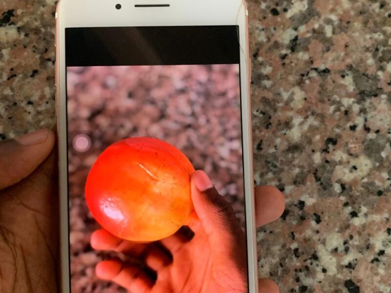 Despacho iPhone 7Plus